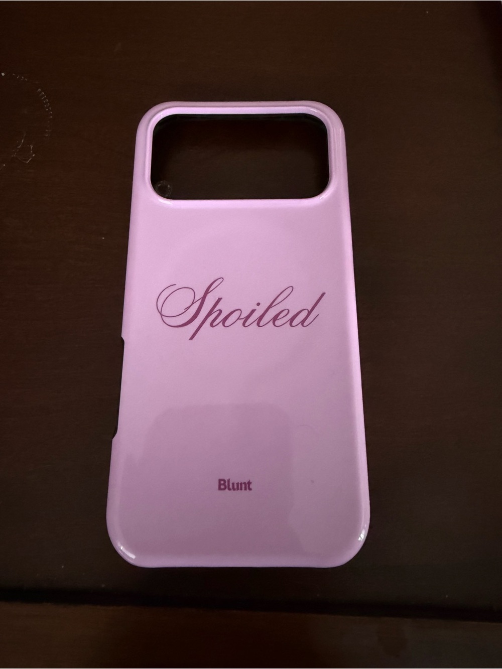 iPhone 17 pro max case